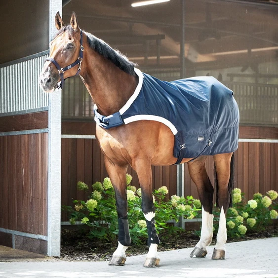 BUSSE Horse-Trainer Rug WALKING 100