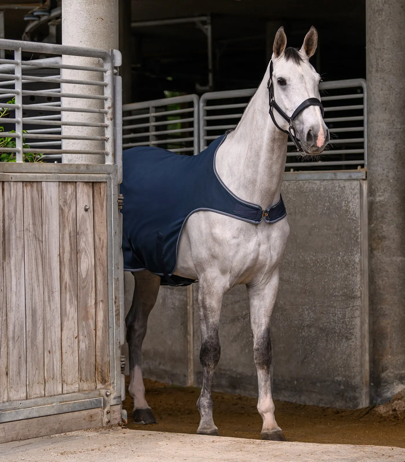 ECONOMIC fleece horse walker rug
