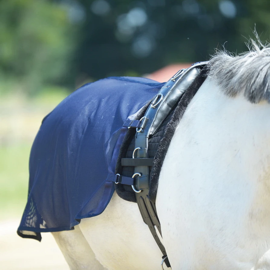 BUSSE Lunging Sheet FLY
