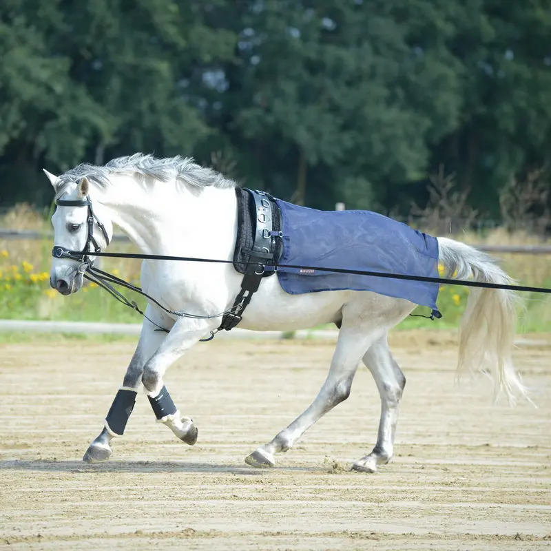 BUSSE Lunging Sheet FLY