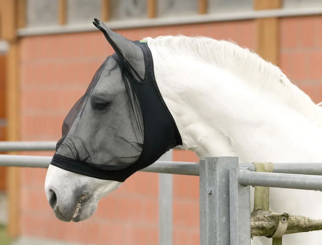 Fly veil with ear protector, black