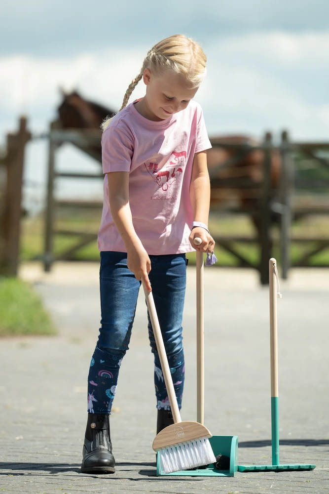 Bollensammler -Hobby Horsing-