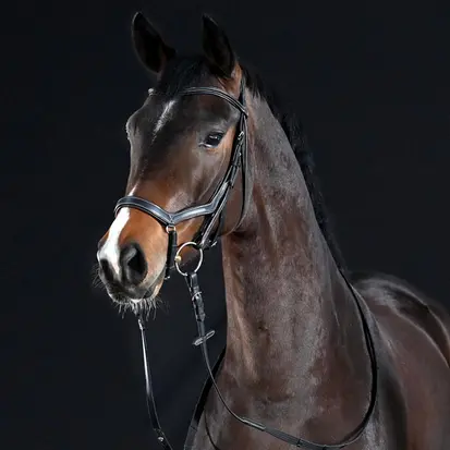 BUSSE Anatomical Noseband TAKE-OFF LINE AN