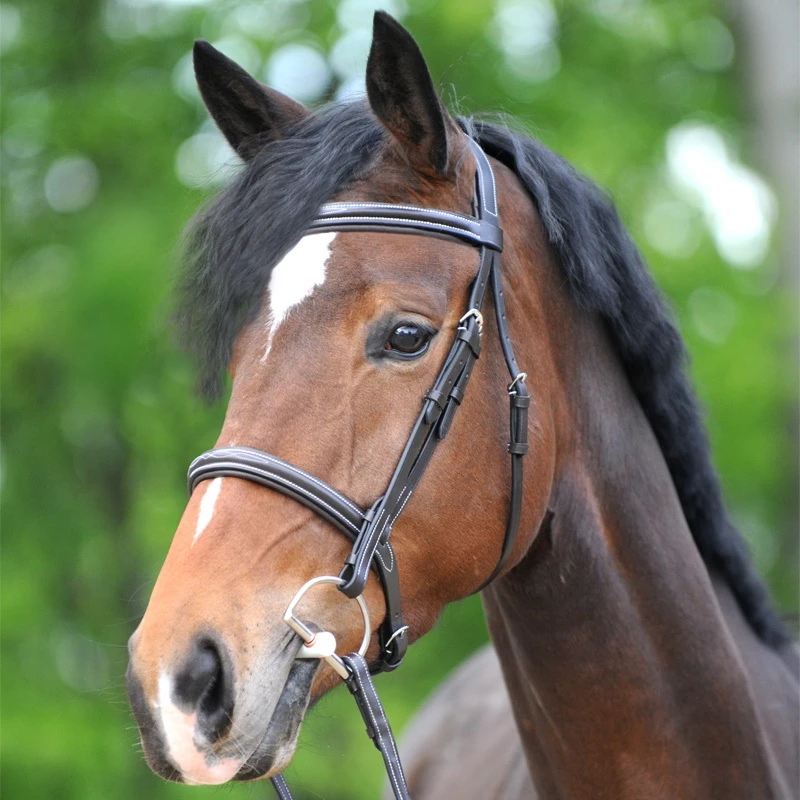 hunter bridle AKILA with english nb