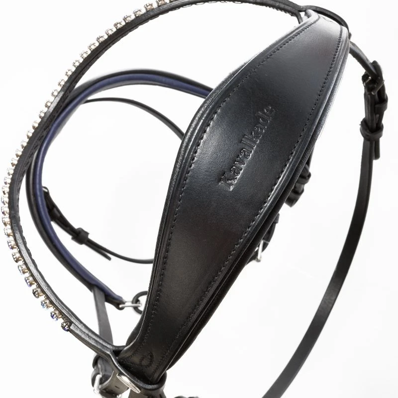 bridle OCEAN crank nb.with flash