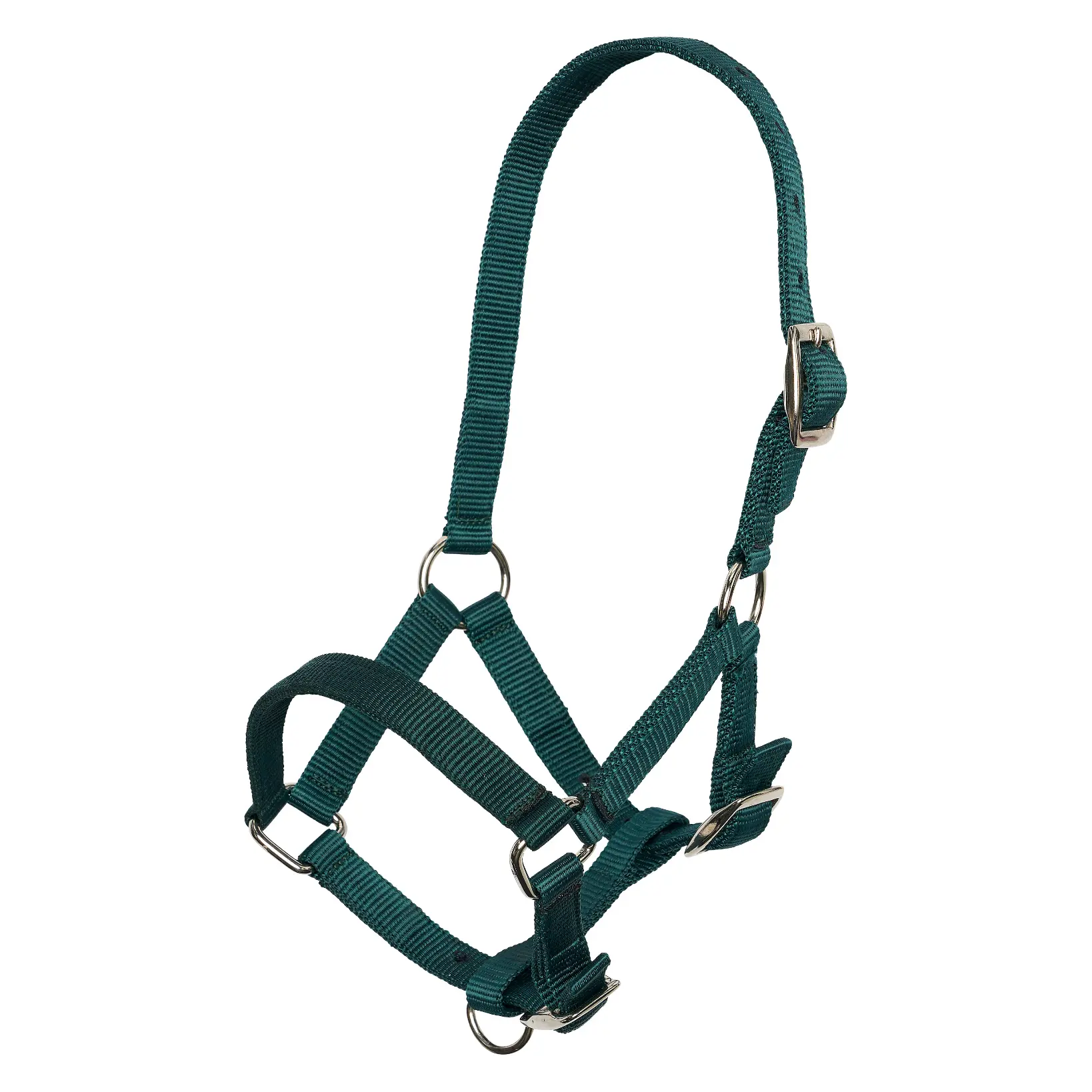 Headcollar foal IRH Summer 2026