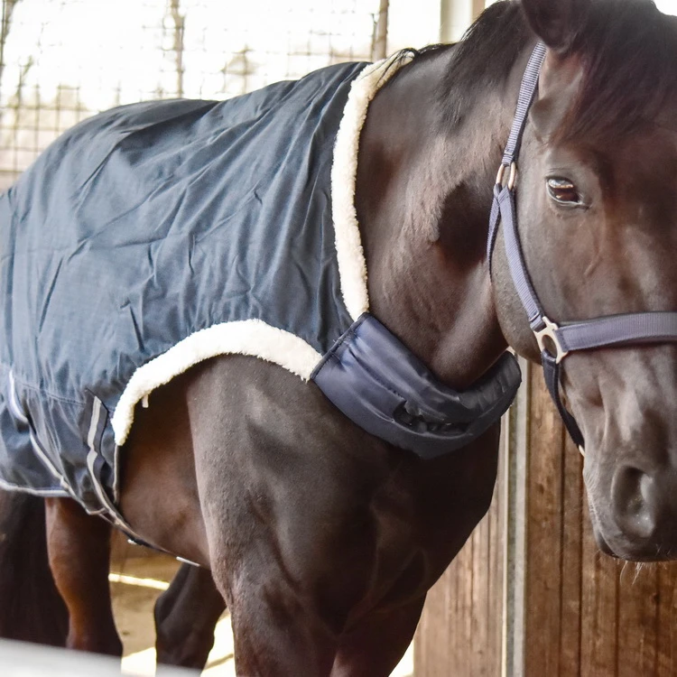 BUSSE Horse-Trainer Rug WALKING 100