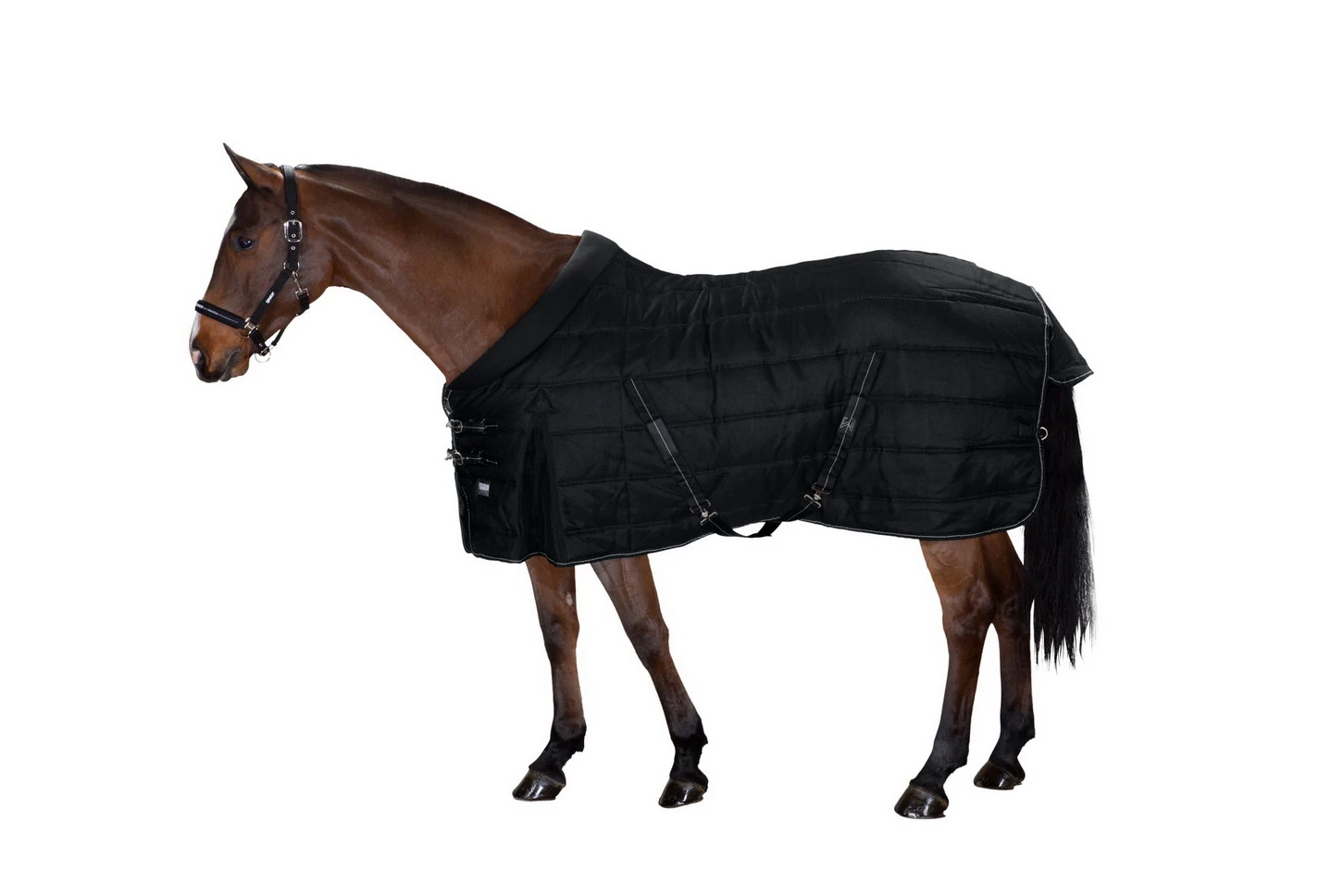 ESKADRON BASIC stable rug SIGMA 200