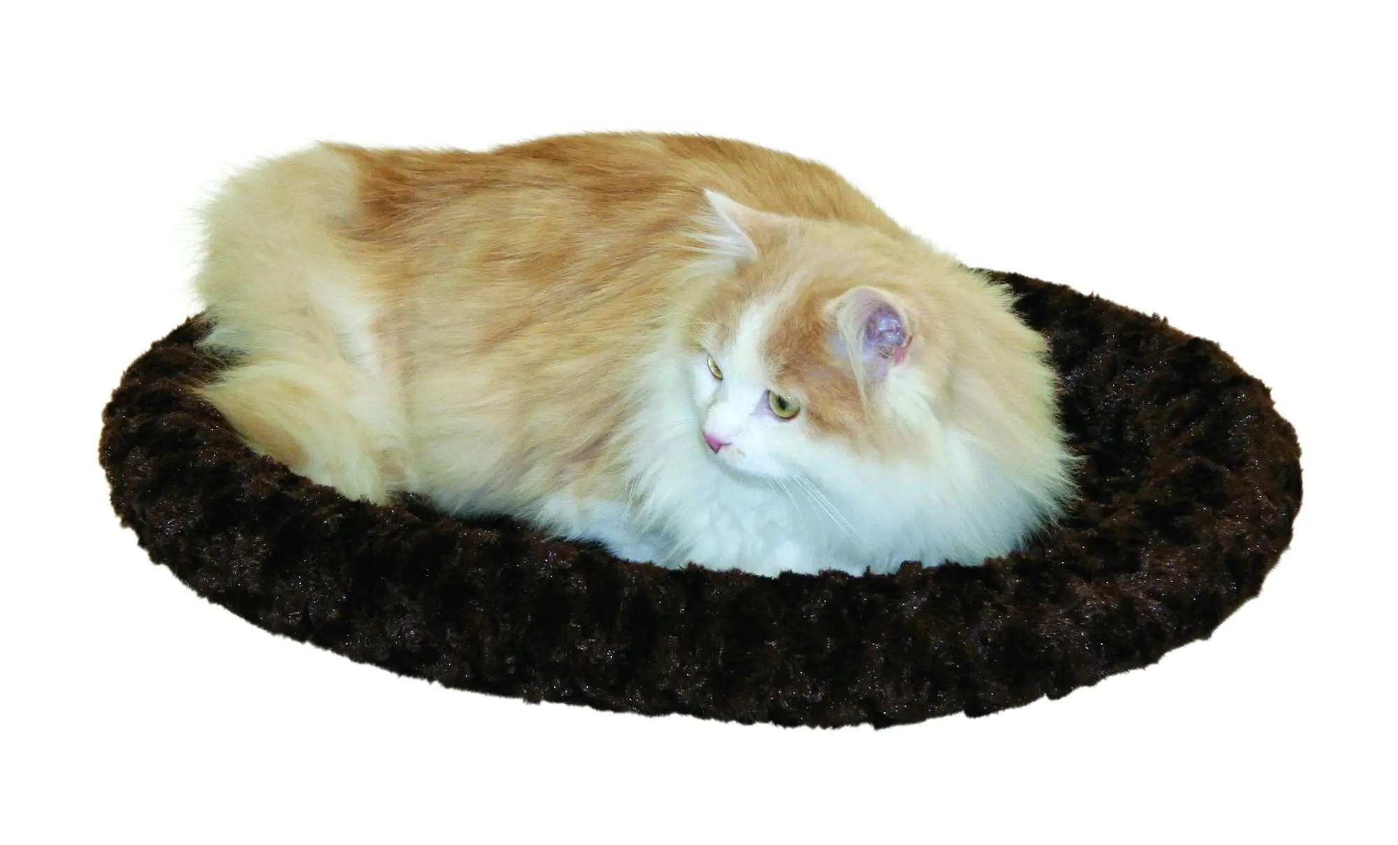 Cosy Bed