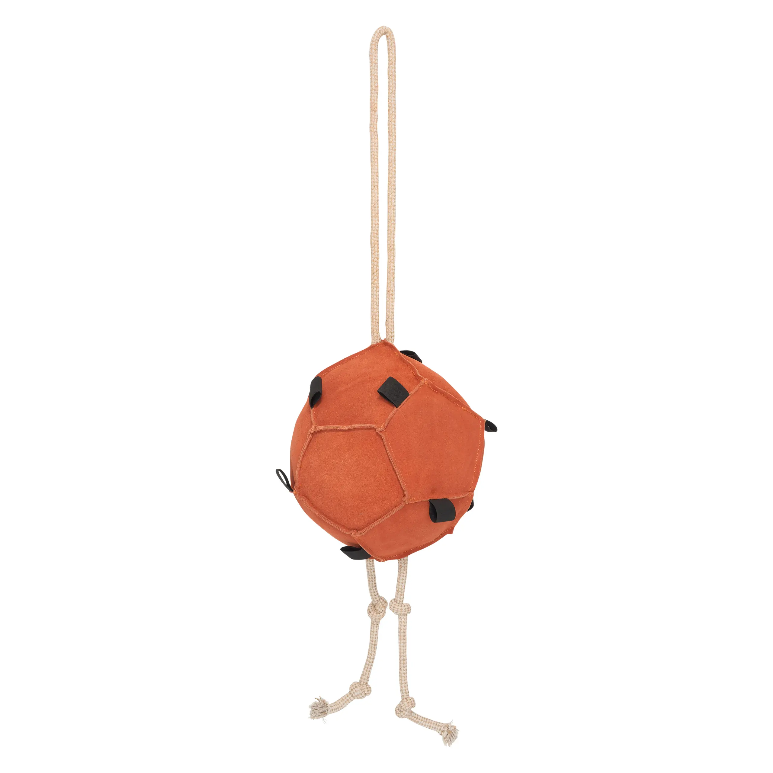 Pferdeball HVPVolley