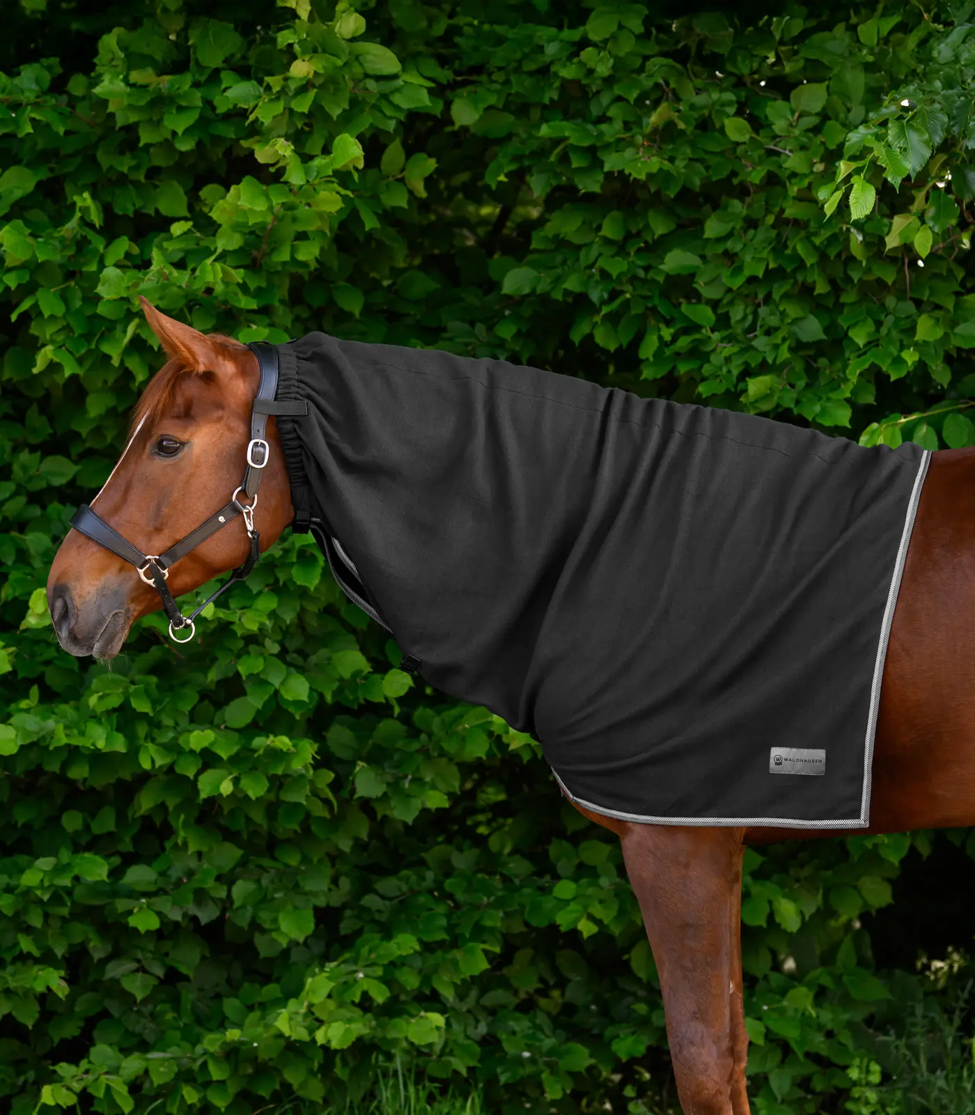 Fleece-Halsdecke ECONOMIC