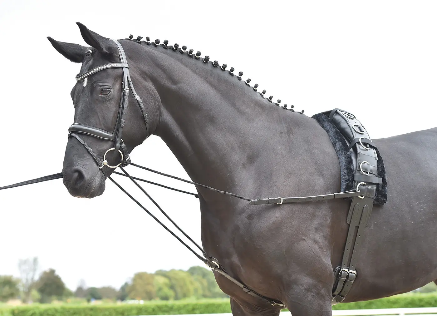 Standing Draw-Reins BASIC-KORDEL