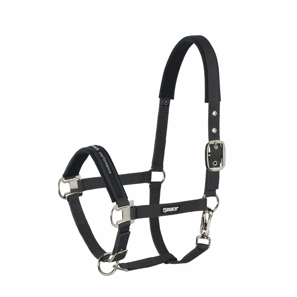 Halfter PIN BUCKLE CORE