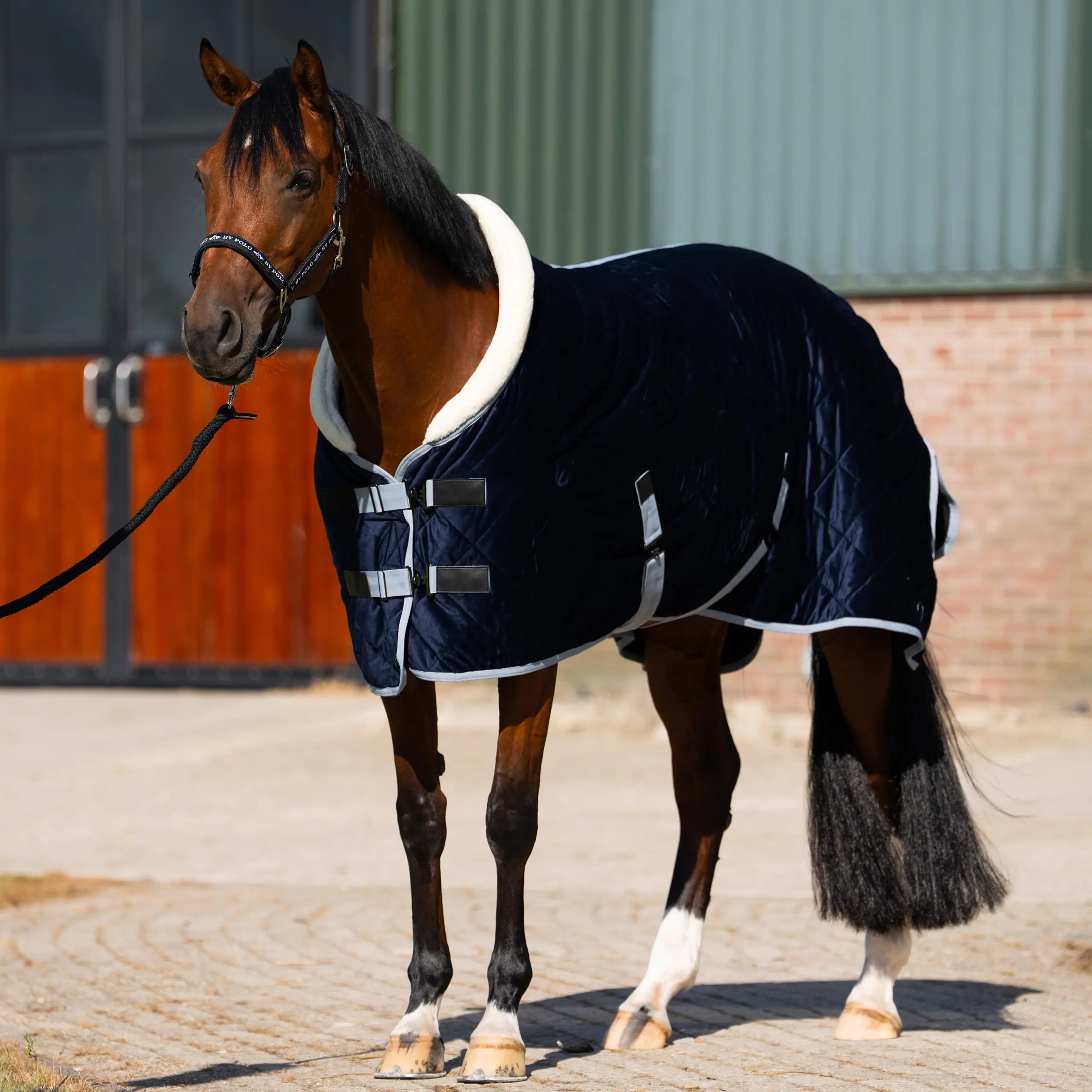 Stalldecke HVPSacha