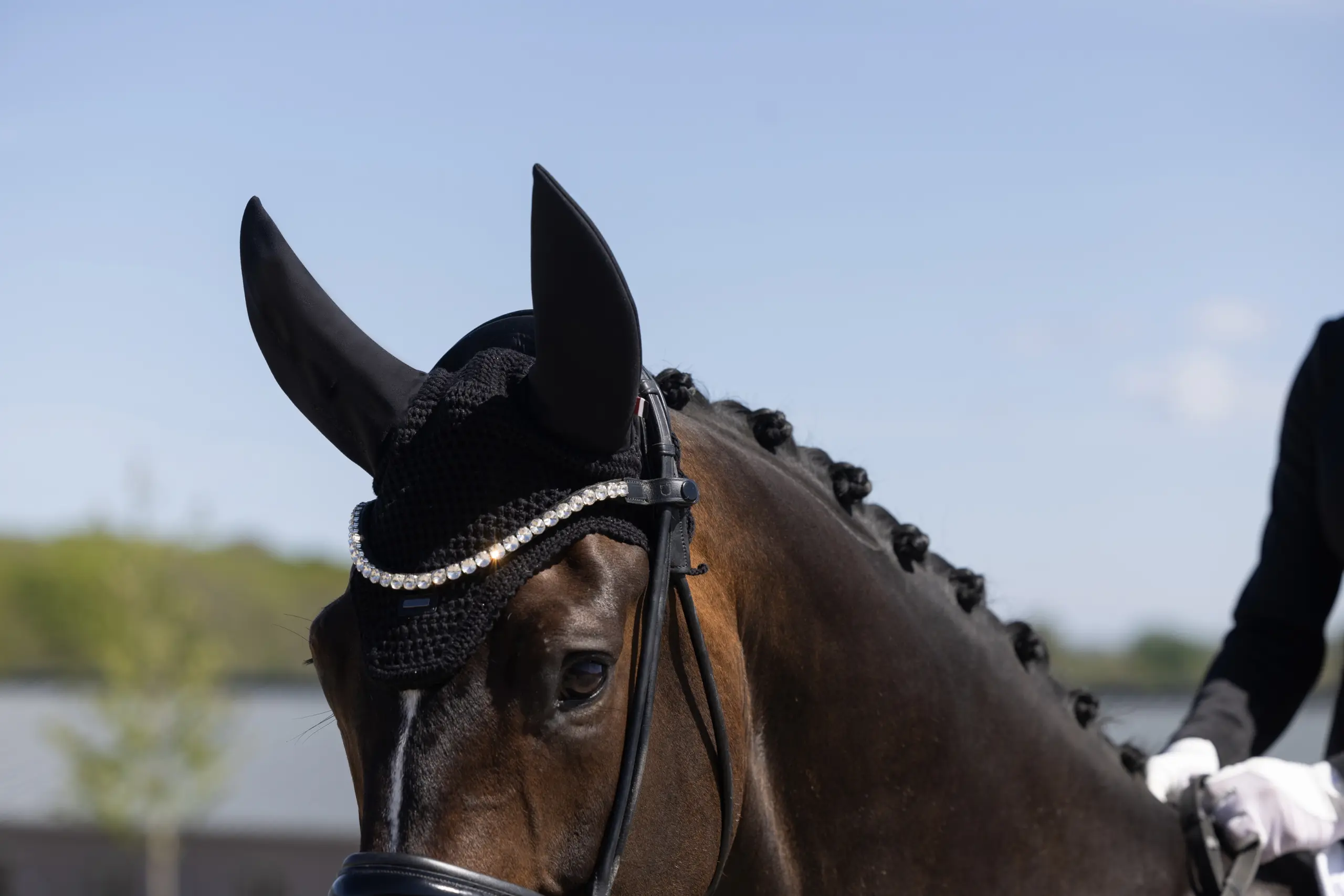 Fliegenhaube KLLexie Sommer 2026