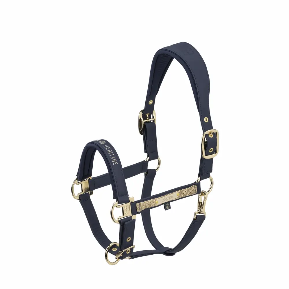 Halfter FAUX LEATHER DOUBLE PIN Heritage 25
