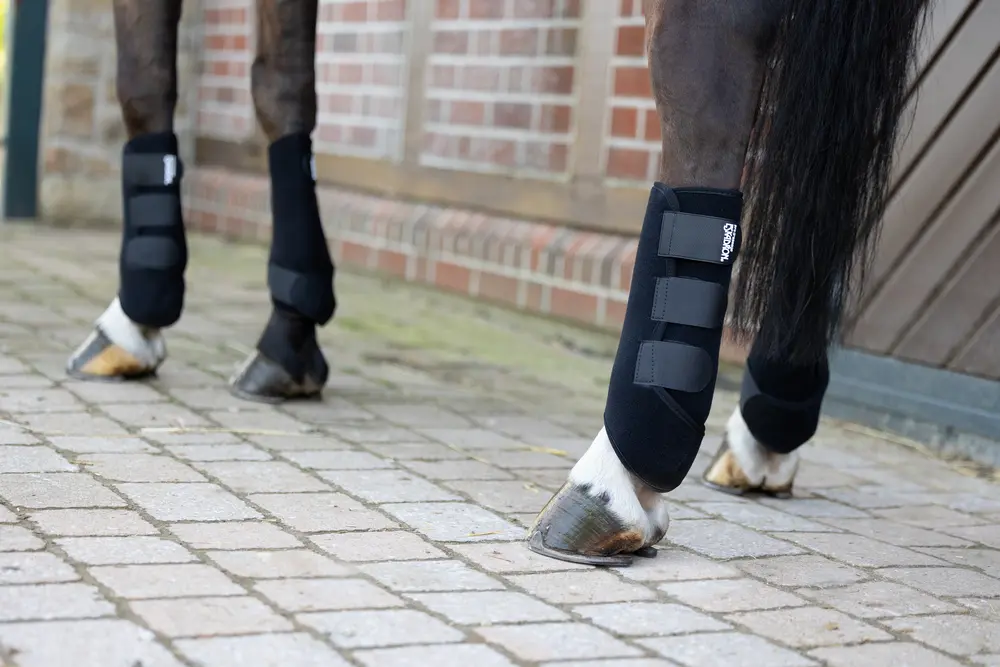 BASIC Gamaschen PRO DRESSAGE H