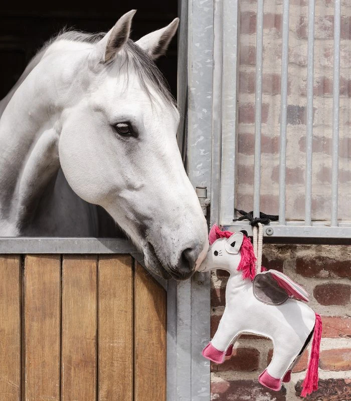 Emily the unicorn horse toy