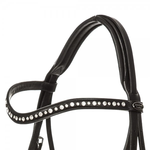 bridle MIA crank nb. with flash