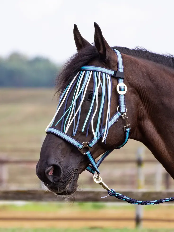 BUSSE Flystring Browband VISBY