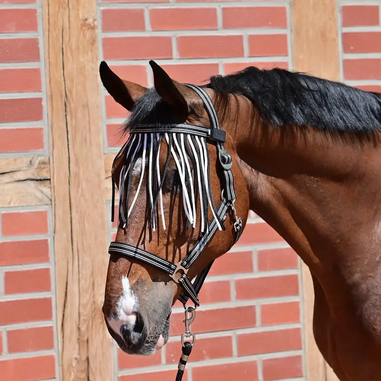 BUSSE Flystring Browband VISBY II