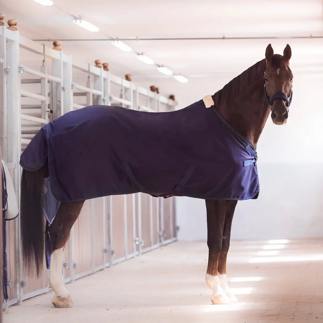 BUSSE Summer Rug EARLY SEASON