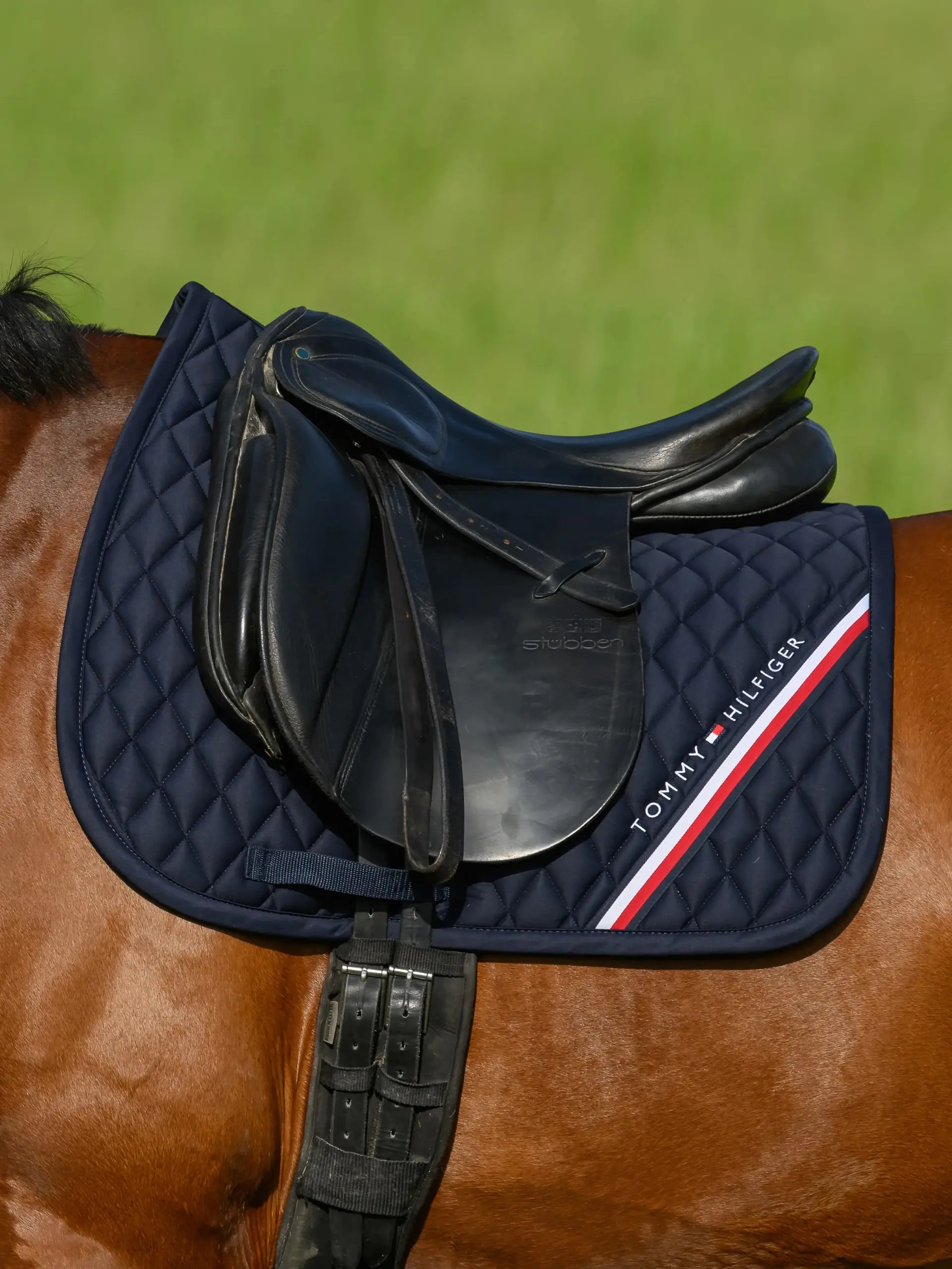 Dressurschrabracke STANFORD Sommer 2026