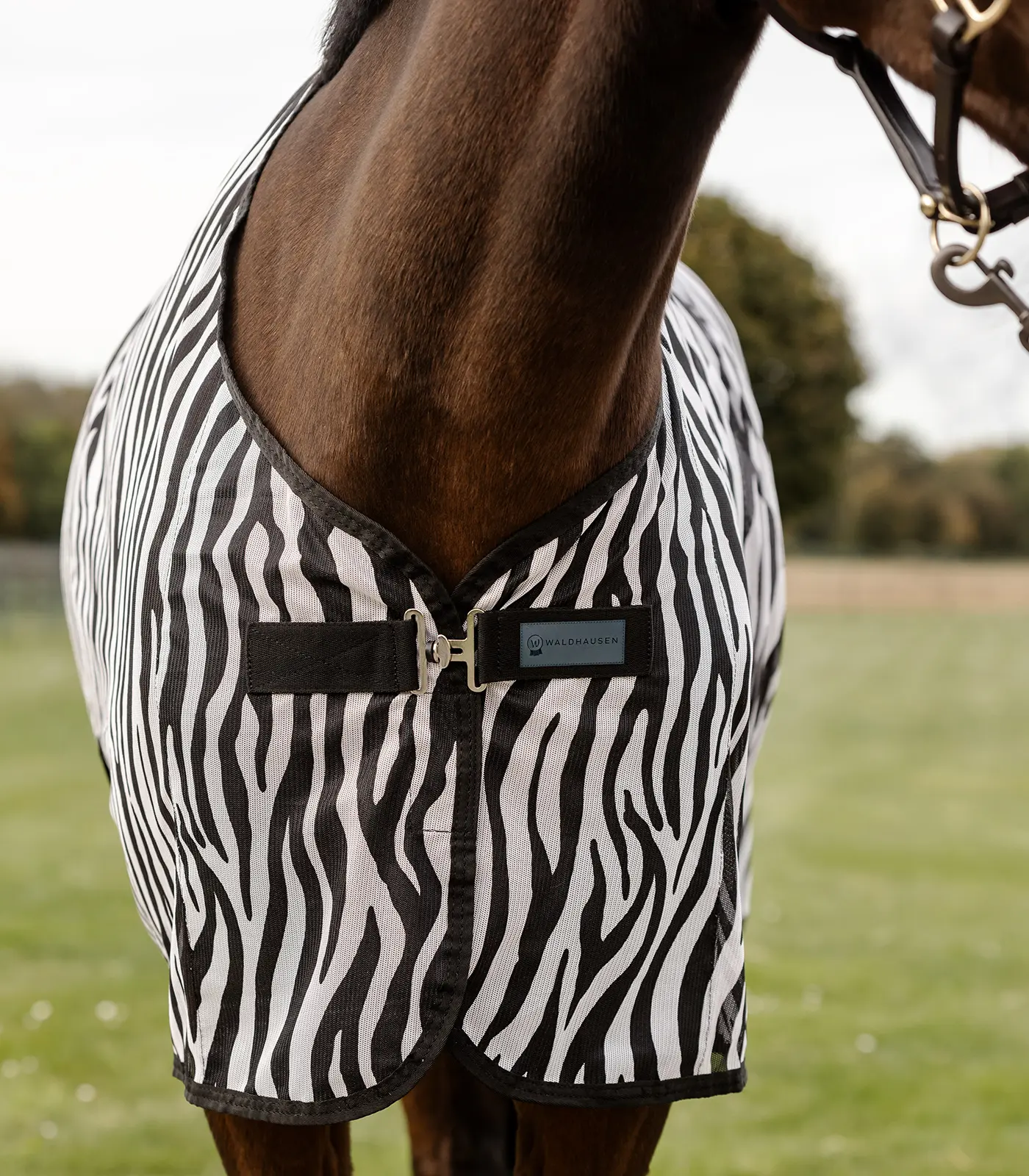 Fliegendecke ZEBRA mit Kreuzgurten