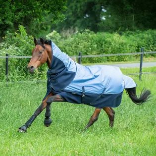 BUSSE Turnout Rug 3D AIR Rain