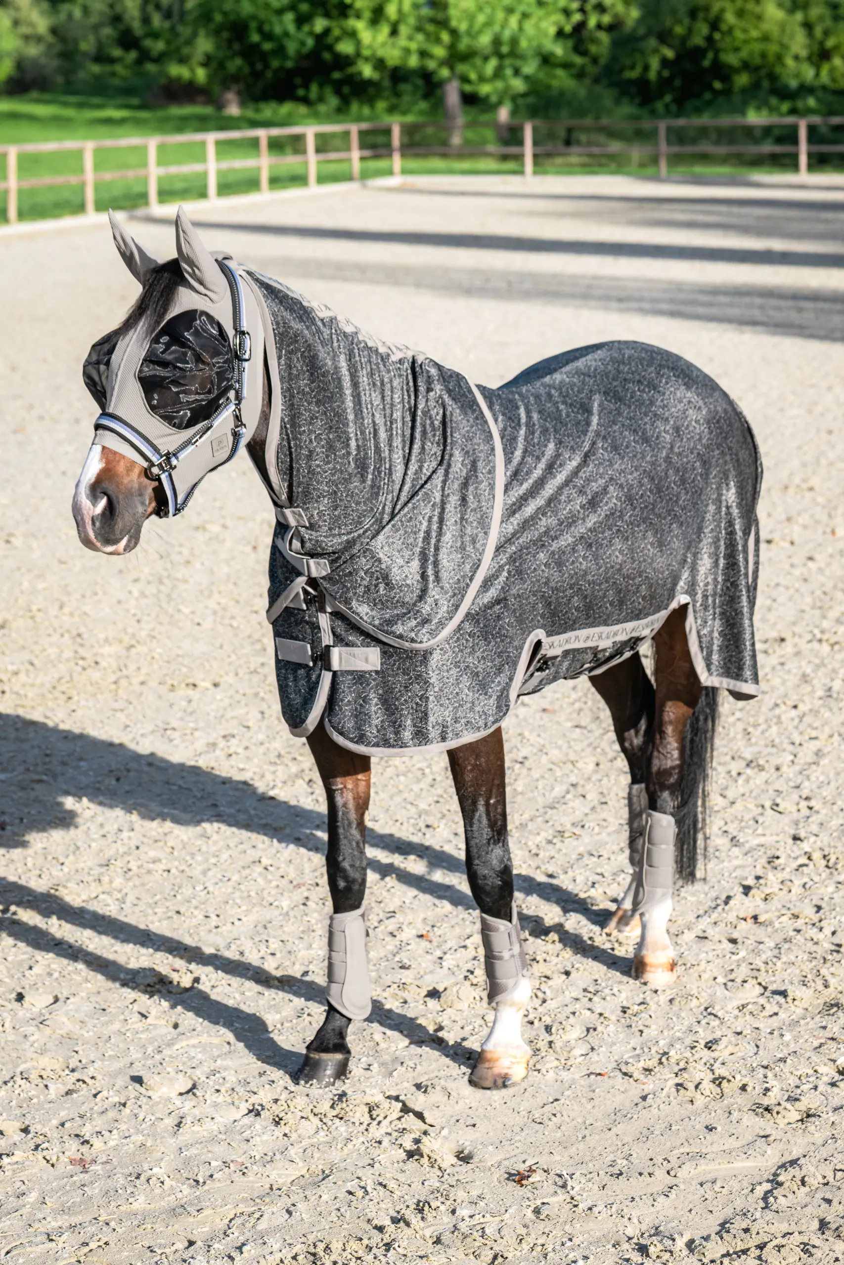Fliegendecke DETACH-NECK Platinum 2026