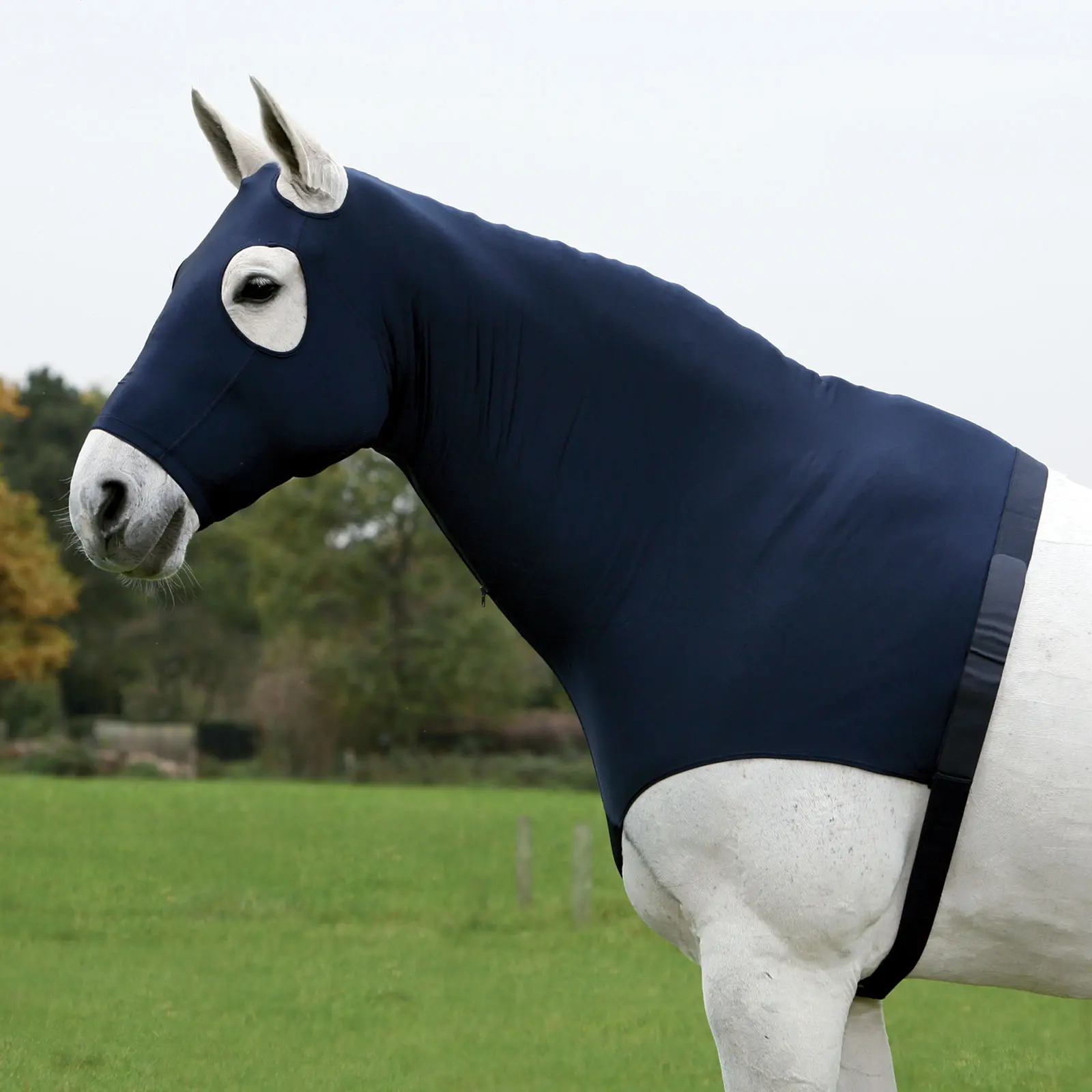 Comfort Combination Hood