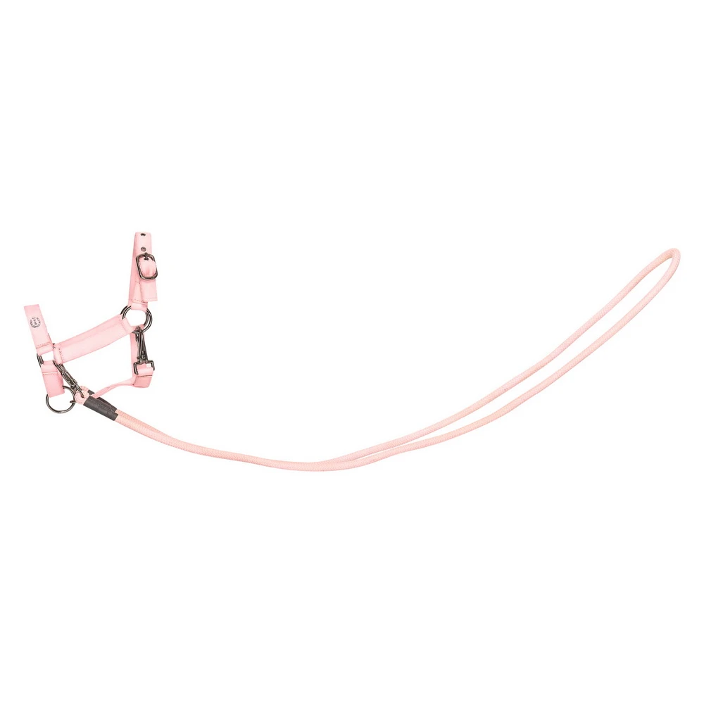 hobby horse headcollar Free Ride IRHFree Spirit
