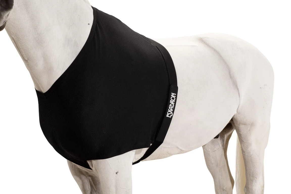 ESKADRON BASIC breast protector BREAST PROTECTOR