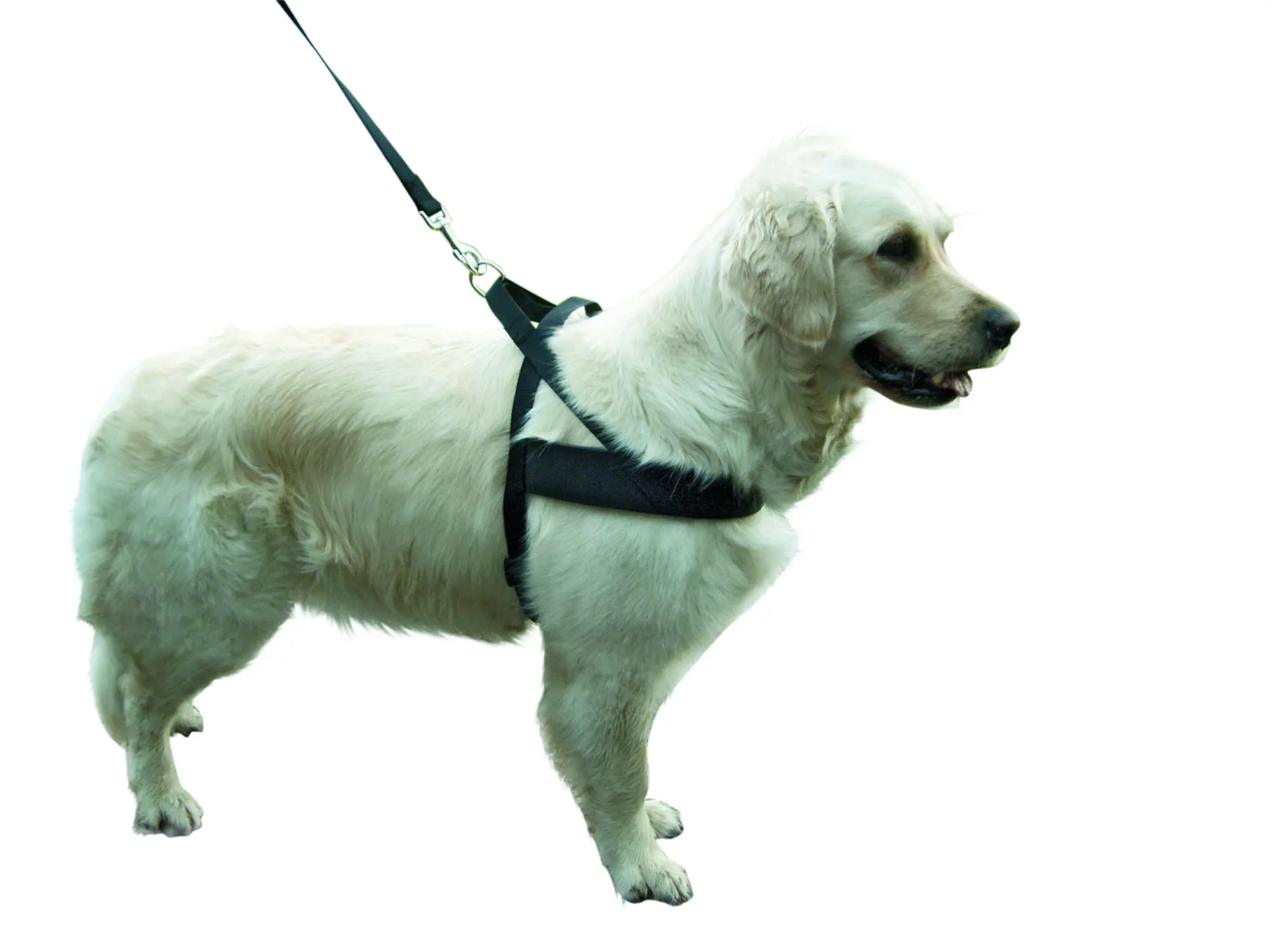 MIAMI PLUS dog harness Grith 80-100cm