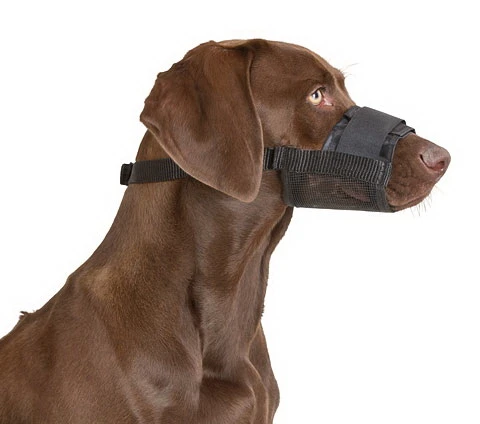 Muzzle Nylon 20 – 26 cm 9,5cm 19 - 39 cm
