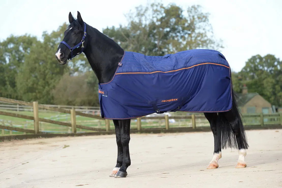 BUCAS therapy rug