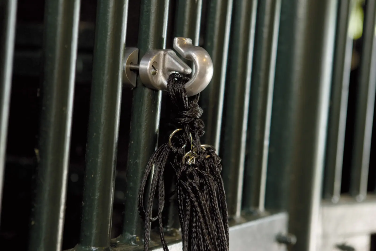 Special Holder