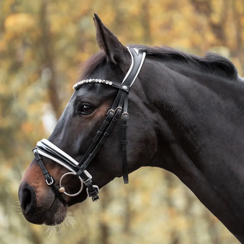 Dressur Trense ZORA mit schwed.-komb.Reithalfter