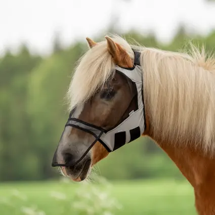 BUSSE Fly mask FLY GUARD FREE PLUS
