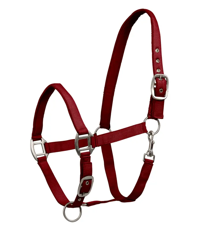 Halfter SATIN