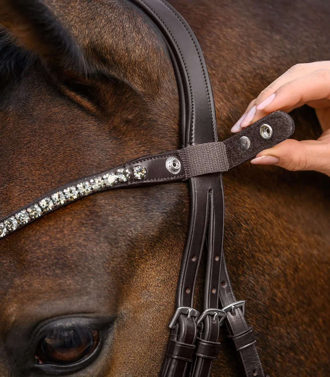 SHINE Waldhausen X-Line browband, brown