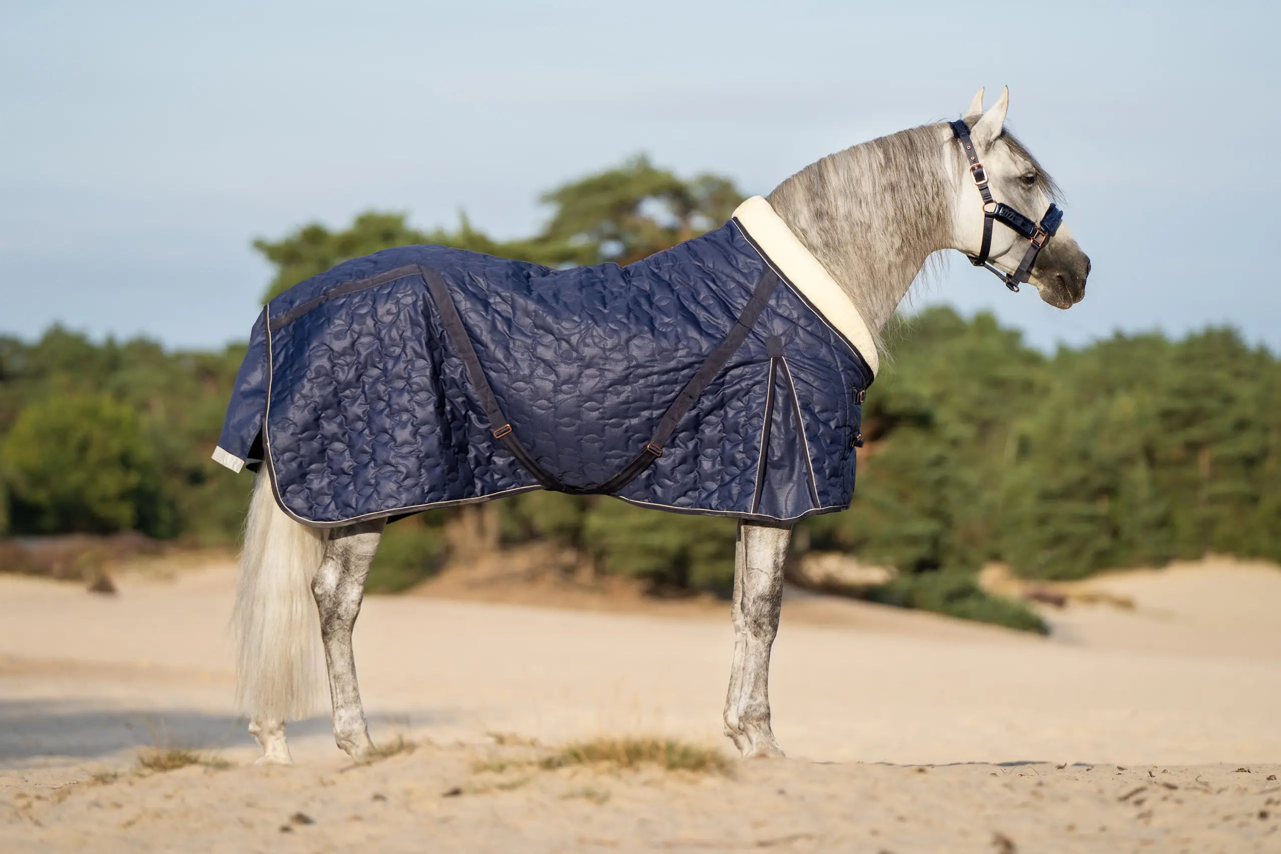 Stalldecke IRHSuper-dry 150gr