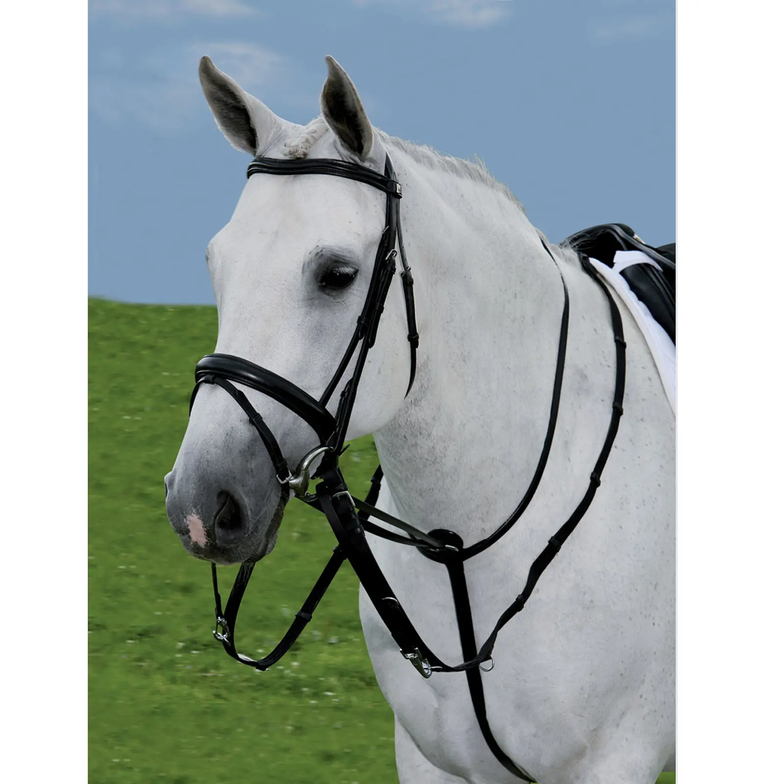 STAR Special Reins