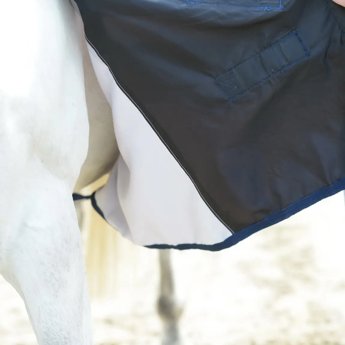BUSSE Summer Rug EARLY SEASON