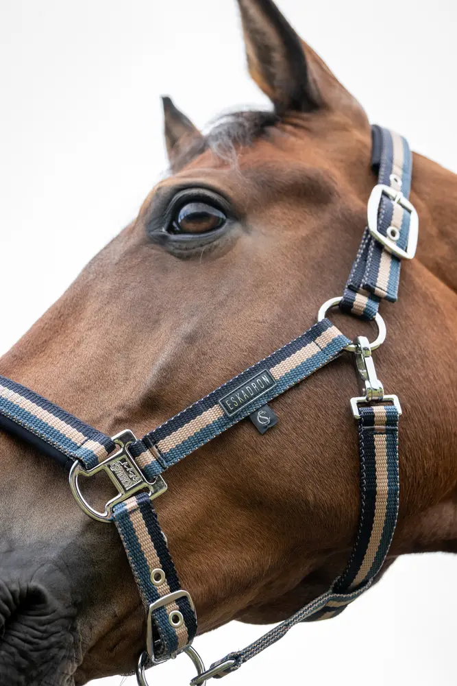 Headcollar DOUBLE PIN Classic Sports 2026