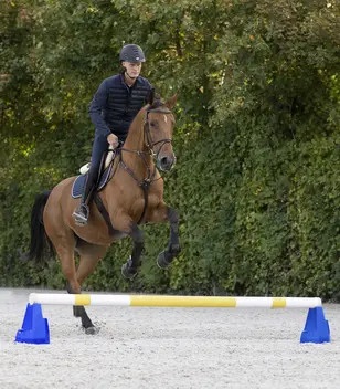 Cavaletti-Block
