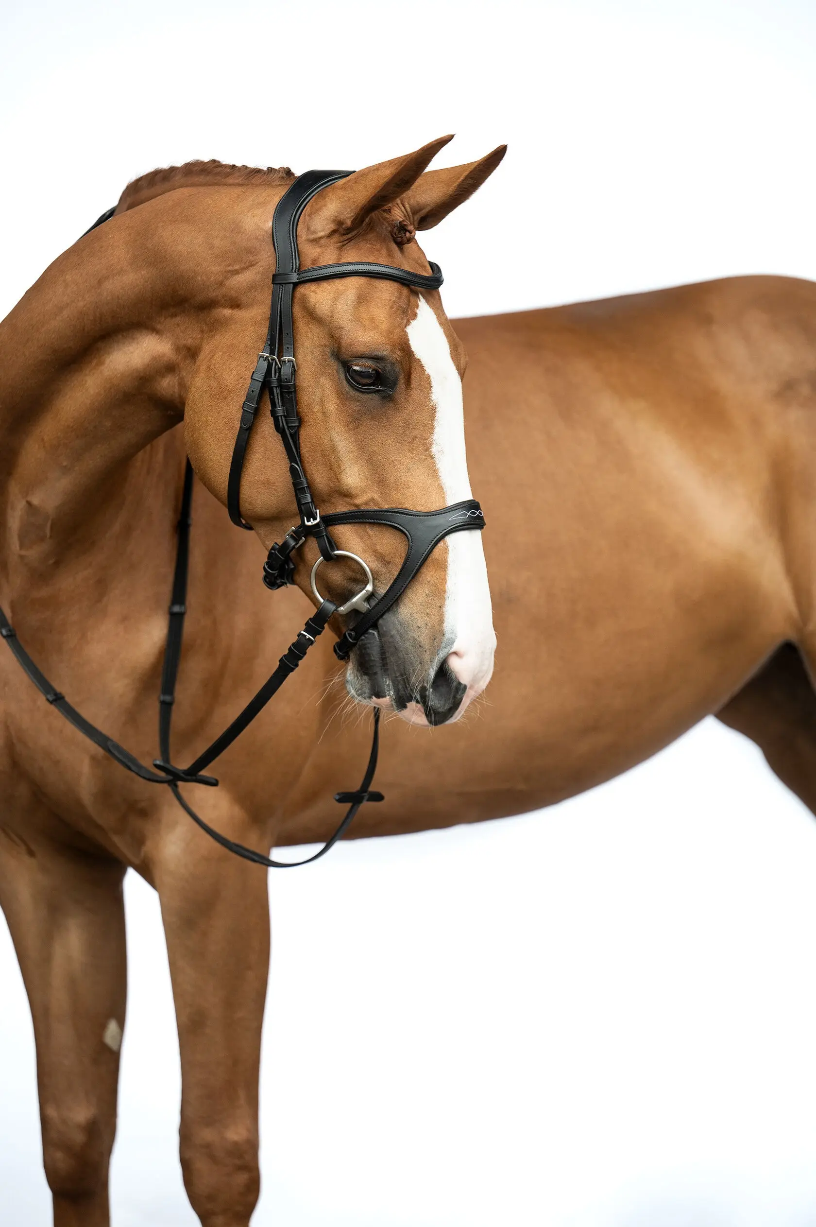 HKM Bridle ANATOMIC SPORTS