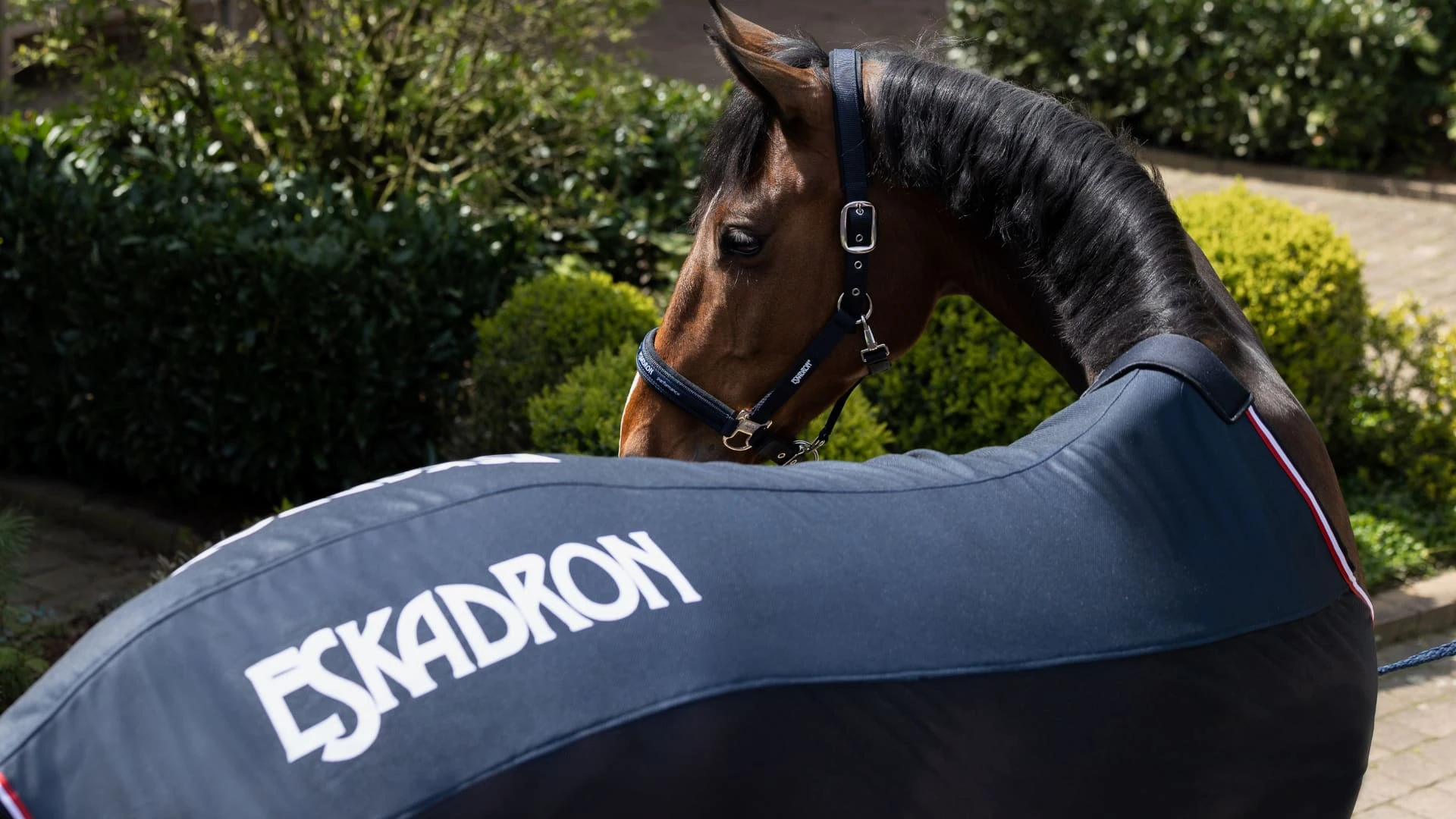 Fly sheet PRO COVER