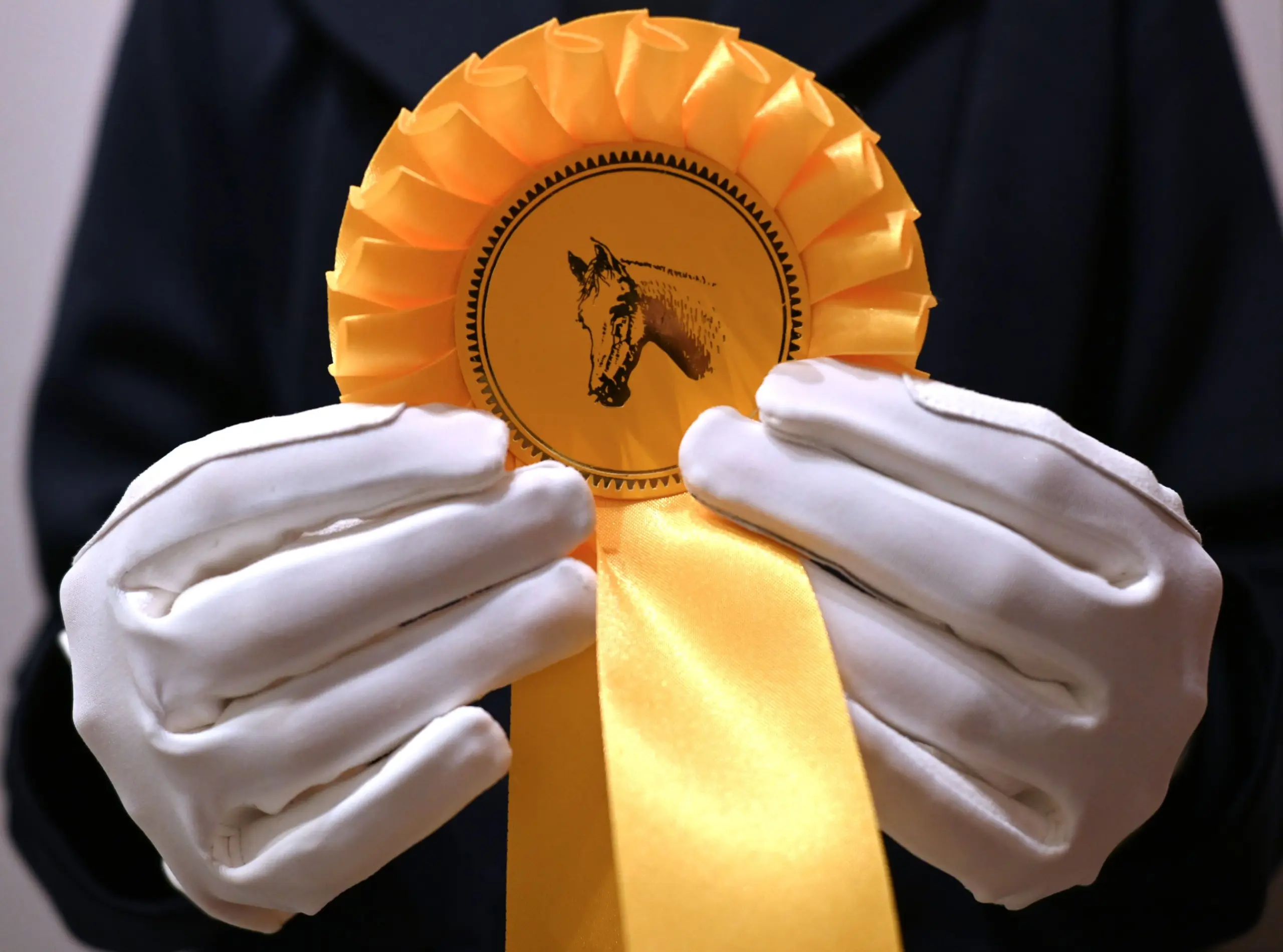 AMALIA Kinder Reithandschuhe, einfarbig, Stretch auf der Oberhand