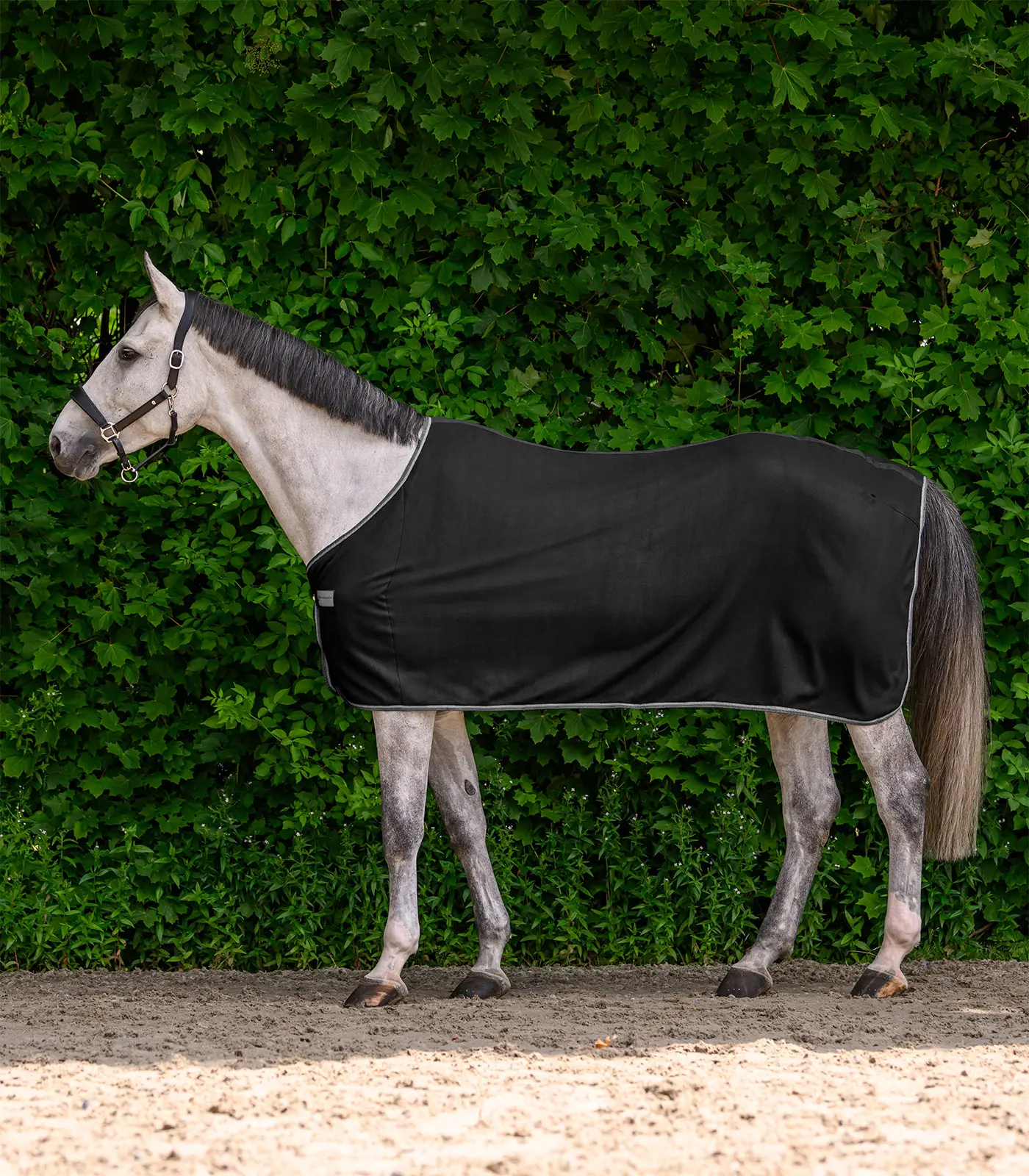 Waldhausen Fleecedecke ECONOMIC, 95 cm, schwarz